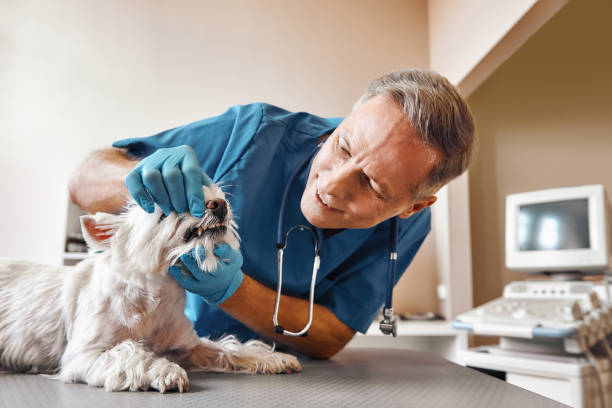 Best Emergency Tooth Extraction in Midland, TX